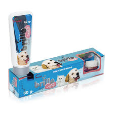 BRILLO DENTAL CARE X 60GR