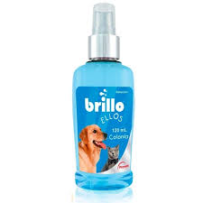 BRILLO COLONIA ELLOS X 120 ML