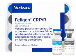 FELIGEN RABIA