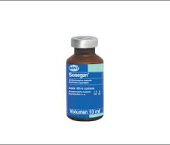 SOSEGAN INY X 10 ML