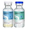 VACUNA INMUNOVAX 5 DPA2H-L (PUPPY FENCE) X 1 DOSIS