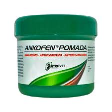 ANKOFEN POMADA TARRO X 60GR