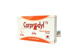 CARPRODYL X 75 MG CAJA X 10 TAB