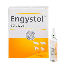 ENGYSTOL VET AMP 5 X 5ML