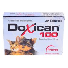 DOXICAN 100MG X 20TAB