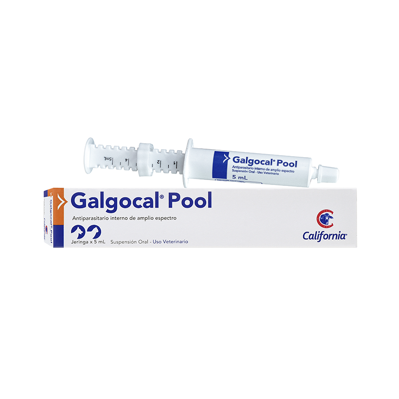 GALGOCAL POOL SUSP ORAL JGA X 5ML