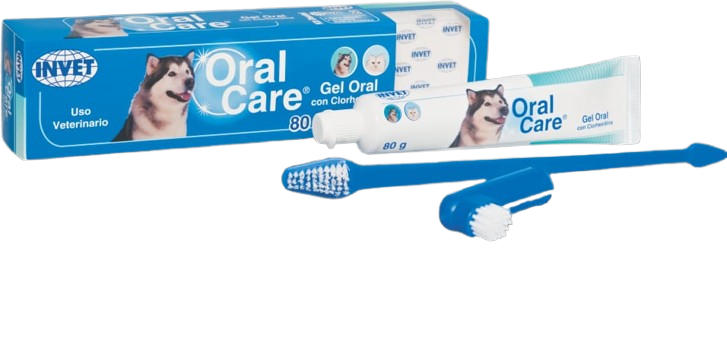 ORAL CARE GEL X 80 GR