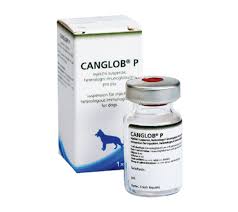 CANGLOB P VIAL X 6 ML