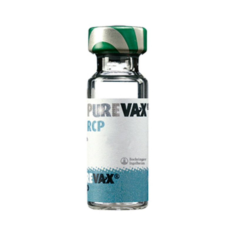 VACUNA PUREVAX RCP X 1 DOSI