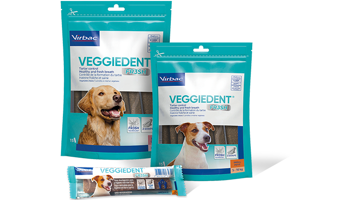 VEGGIEDENT FRESH S X 1 DISP X 30 UNID